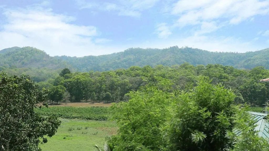 Hill Green Home Stay Thekkady India