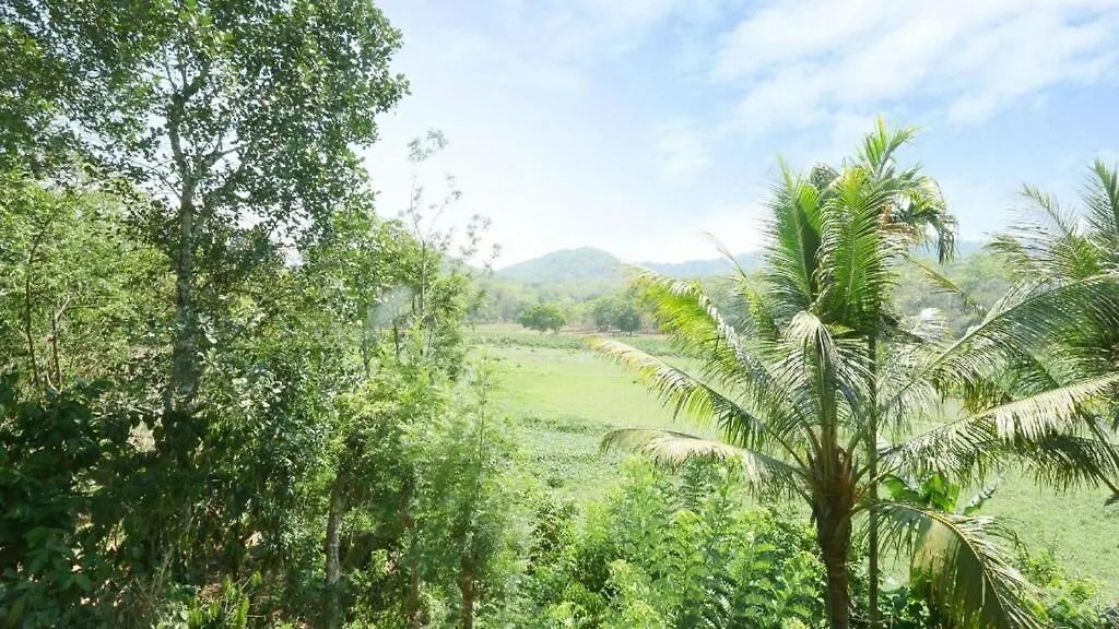 Hill Green Home Stay Thekkady